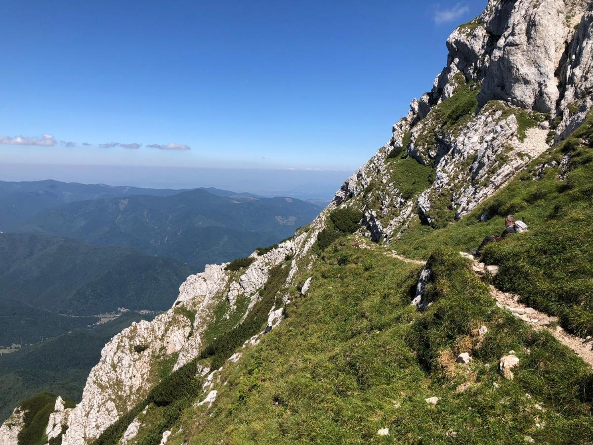 Pensiunea Aliart Zărneşti 외부 사진